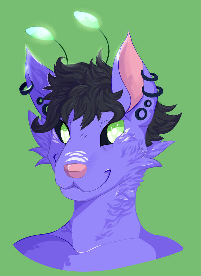 shaded headshot